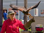 28. Internationale Fürstenfelder Naturfototage 2026  - Greifvogelschauen