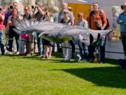 28. Internationale Fürstenfelder Naturfototage 2026  - Greifvogelschauen