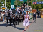 Oktoberfest 2026 - Einzug der Wiesnwirte