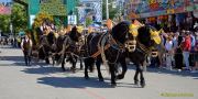 Oktoberfest 2026 - Einzug der Wiesnwirte