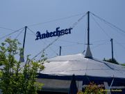 Sommer Tollwood 2025 - Presserundgang