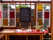 Sommer Tollwood 2025 - Presserundgang