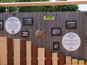 Sommer Tollwood 2025 - Presserundgang