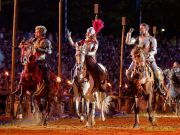 Kaltenberger Ritterturnier 2025 - Show/Turnier