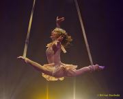 Roncalli 2025 - ARTistART - Premiere - Show