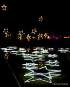 Eröffnung des Christmas Gardens im Zoo Augsburg 2025