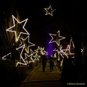 Eröffnung des Christmas Gardens im Zoo Augsburg 2025