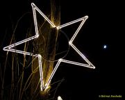 Eröffnung des Christmas Gardens im Zoo Augsburg 2025