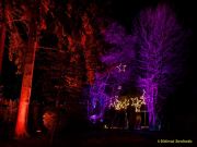 Eröffnung des Christmas Gardens im Zoo Augsburg 2025