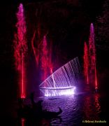 Eröffnung des Christmas Gardens im Zoo Augsburg 2025