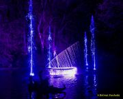 Eröffnung des Christmas Gardens im Zoo Augsburg 2025