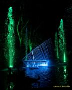 Eröffnung des Christmas Gardens im Zoo Augsburg 2025