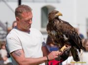 28. Internationale Fürstenfelder Naturfototage 2026  - Greifvogelschauen