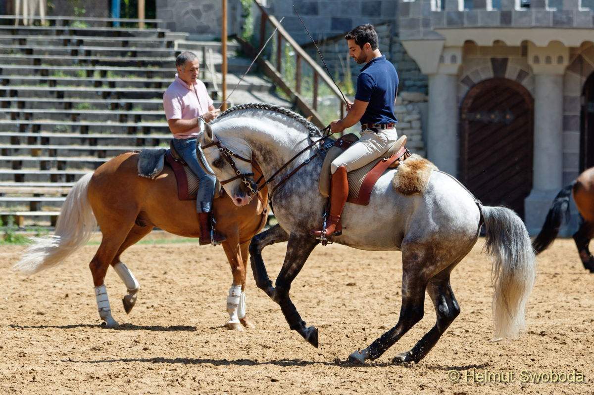 Carmina Burana Cavallo auf Schloss Kaltenberg 2022
