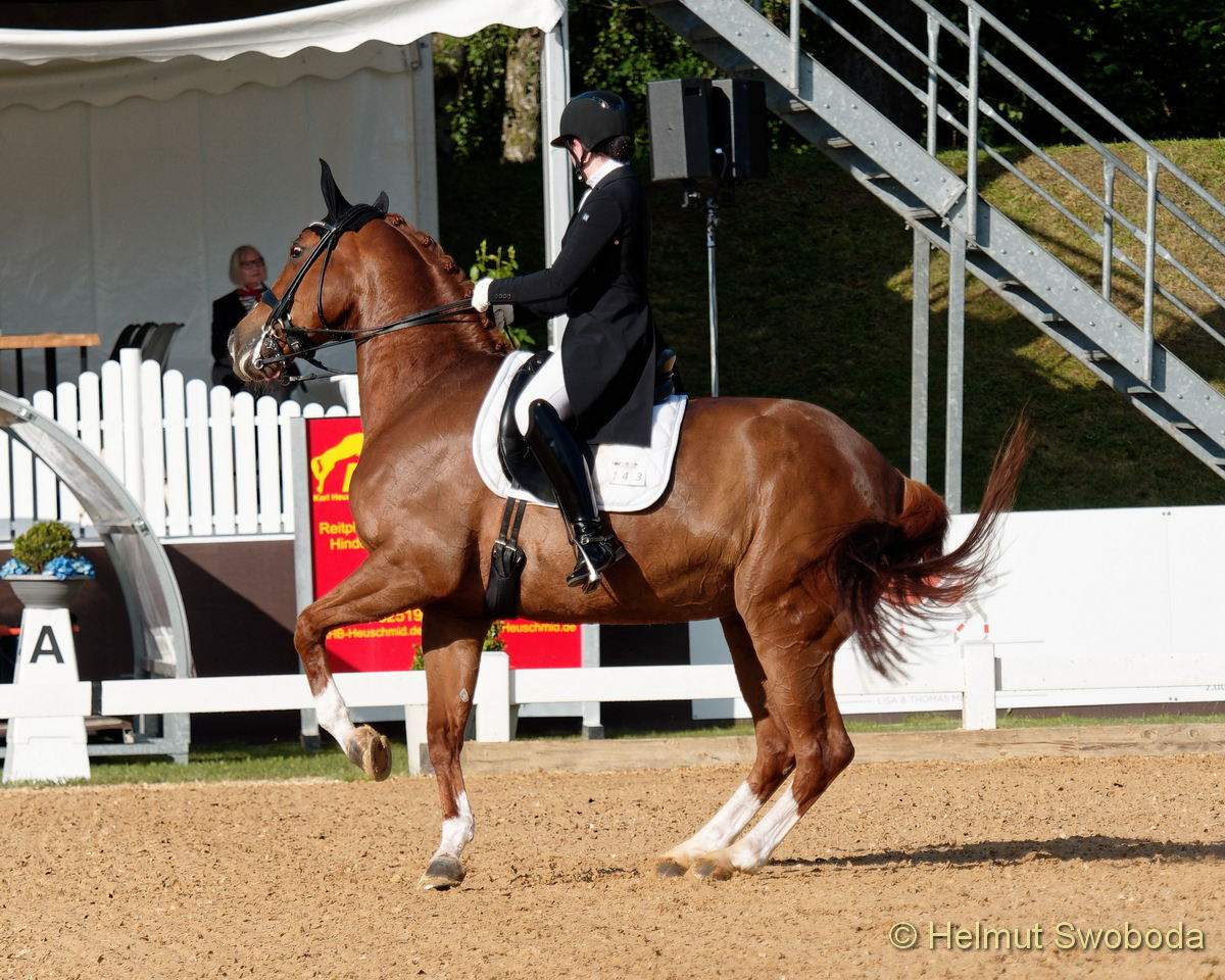 Pferd International 2022-05-26 Dressur