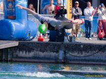 3MUC Triathlon 2025 - Olympische Distanz