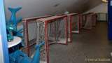 d170207-125432-580-100-50_jahre_olympia-eisstadion