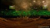 d151121-21181425-100-adac-supercross