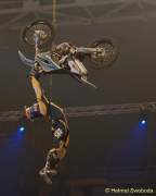 d151121-23095060-100-adac-supercross