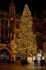 advent-in-muenchen-0140