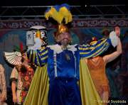 d160205-21264130-100-faschingsball_der_damischen_ritter