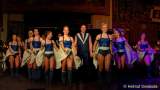 d160206-00201480-100-faschingsball_der_damischen_ritter-dance_united