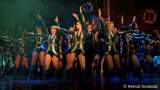 d160206-00291930-100-faschingsball_der_damischen_ritter-dance_united