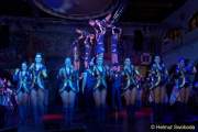 d160206-00305350-100-faschingsball_der_damischen_ritter-dance_united