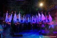 d160206-00210210-100-faschingsball_der_damischen_ritter-dance_united