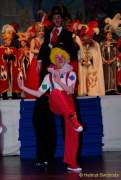 d160205-22451620-100-faschingsball_der_damischen_ritter-narrhalla