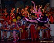 d160205-22453770-100-faschingsball_der_damischen_ritter-narrhalla