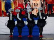 d160205-22504120-100-faschingsball_der_damischen_ritter-narrhalla