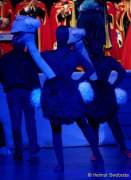 d160205-22515790-100-faschingsball_der_damischen_ritter-narrhalla