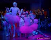 d170224-224120-000-100-faschingsball_der_damischen_ritter