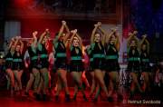 d170225-000341-700-100-faschingsball_der_damischen_ritter