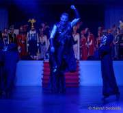 d170224-221653-400-100-faschingsball_der_damischen_ritter