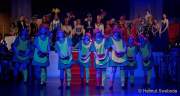 d170224-221749-200-100-faschingsball_der_damischen_ritter