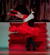 d170224-223306-900-100-faschingsball_der_damischen_ritter