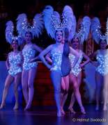 d170224-223532-400-100-faschingsball_der_damischen_ritter