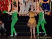 d190301-224309-360-100-faschingsball_der_damischen_ritter