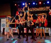 d180114-175854-340-r00-bdk_gardetreffen_reichertshausen