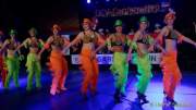 d180114-172745-340-100-bdk_gardetreffen_reichertshausen