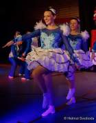 d180114-180442-350-r00-bdk_gardetreffen_reichertshausen