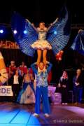 d180114-180540-120-100-bdk_gardetreffen_reichertshausen
