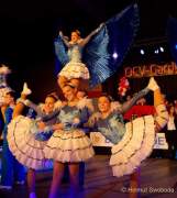 d180114-180543-910-100-bdk_gardetreffen_reichertshausen