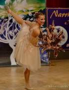 d190120-195518-380-100-bdk_gardetreffen_neufahrn-modern_art_tsv_st_wolfgang