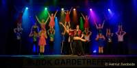 d200215-204911-220-100-bdk_gardetreffen_unterschleissheim-faschingsfreunde_ffb