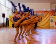 BDK Gardetreffen Unterhaching 2026 - Narrhalla  München