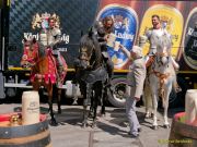 Bier-Blindtasting zum Kaltenberger Ritterturnier 2025