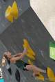 d170819-183132-800-100-boulder_worldcup d170819-183132-800-100-boulder_worldcup